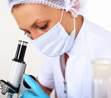 Business & Corporate